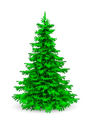 Fluffy green christmas tree. Christmas tree. Herringbone on a white background. Evergreen coniferous tree