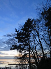 Fototapeta na wymiar a sunset in the Pacific Spirit Regional Park close to Vancouver in British Columbia in the month of December, Canada