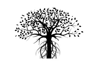 black and white tree on white background.