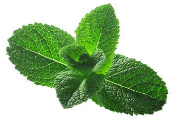 Peppermint leaves (Mentha piperita foliage) isolated w clipping paths © maxsol7