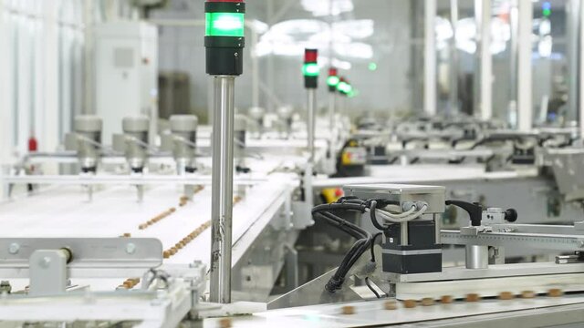 production lines, conveyors for confectionery factory. preparation of sweets.