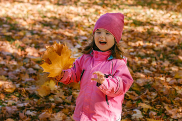 Outdoor portrait of cute girl 3-4 years old playing in the leaves. Happy beautiful little girl in pink hat and jacket collects maple leaves in the Park or forest. Indian summer.