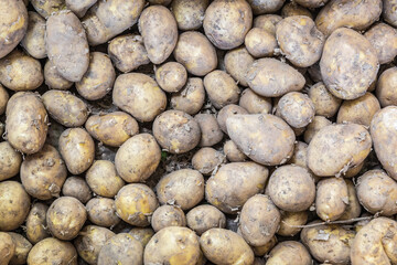 New potatoes seen from above, for sale on a market