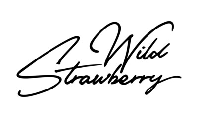 Wild Strawberry Typography Black Color Text On 
White Background