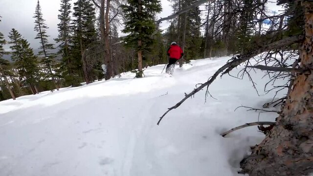 ACTION FOOTAGE watch a expert Skier in red jacket flying down a packed powder tree run with moguls. Super smooth