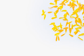 calendula petals, calendula petals on white background, yellow petals, yellow petals on a white background