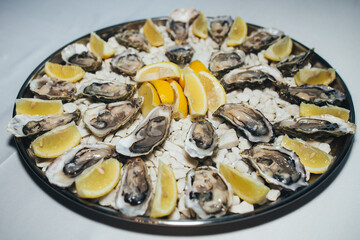 Fototapeta na wymiar fresh chilled sea oysters with lemon