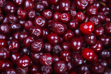 sour cherries 