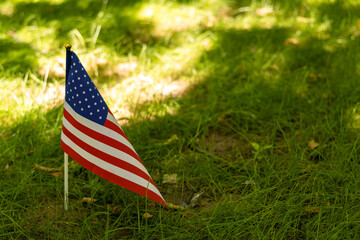 Happy Independence Day of USA. American Flag in women hand on green tree background. Fourth of July.
