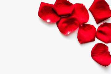 red petals on white background, rose petals