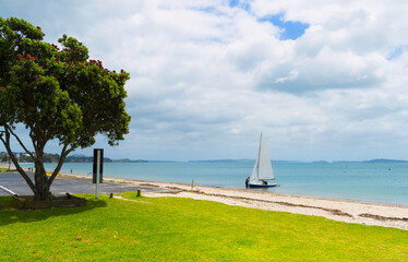 Panoramic View of Eastern Beach, Auckland New Zealand during High Tide Time