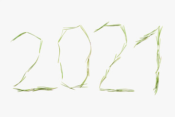 2021 year, inscription with Christmas needles