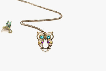 costume jewelry on white background, pendant owl on a white background