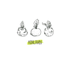 Hand drawn sketch style white kohlrabi set. Vector illustration. 