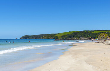 Panoramic View of Tawharanui Beach and Regional Park, Auckland New Zealand; White Sandy Beach during Low Tide