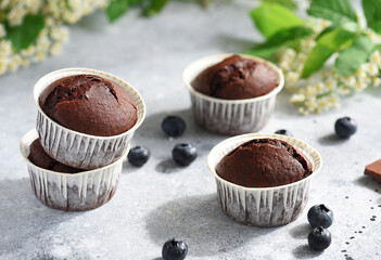 Delicious chocolate muffins with blueberries for dessert on a light background