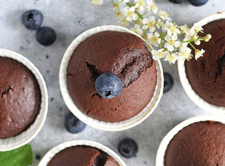 Delicious chocolate muffins with blueberries for dessert on a light background