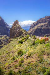 Green valley, Masca Village, Tenerife, Canary islands, Spain - 358763548