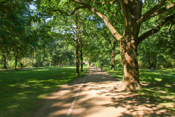 The popular  park (Tiergarten) in Berlin - Germany