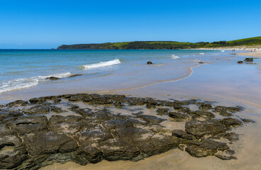Panoramic View of Tawharanui Beach and Regional Park, Auckland New Zealand during Low Tide