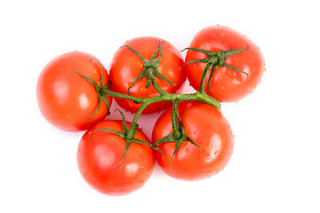 Tomatoes on a branch. 5 fresh tomatoes with herbs on a white background