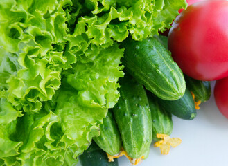 set of vegetables from the farm, harvest: fresh salad, cucumbers, tomatoes on a light background. Healthy nutrition, vegetable ration, comfortable digestion. Proper nutrition, weight loss. Seasonal 