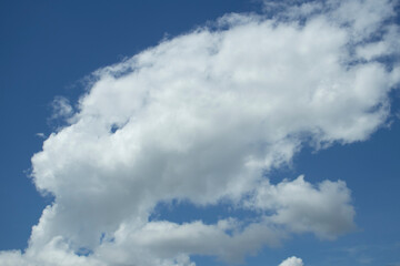 white clouds in the sky