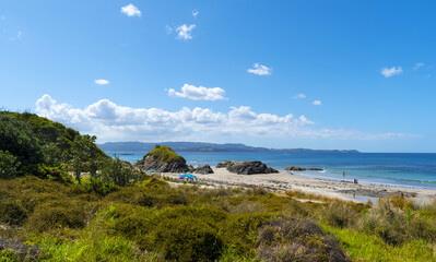 Panoramic View of Tawharanui Beach and Regional Park, Auckland New Zealand; White Sandy Beach during Low Tide