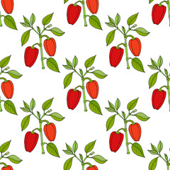 Paprika red pepper spice seamless pattern