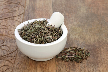 Speedwell herb in a mortar with pestle used in herbal medicine as a diuretic, an expectorant, is...