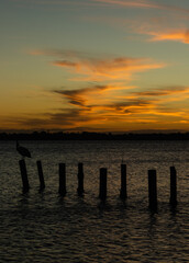 Obraz premium Old Cleveland Point Jetty Sunset