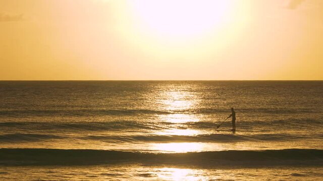 SILHOUETTE: Man on active summer vacation in the Caribbean stands on a surfboard and paddles along the golden-lit coast. Stand up paddleboarder cruises around the tranquil ocean on a sunny morning.
