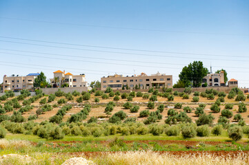 Obraz premium It's Architecture of Amman, the capital and the largest city of Jordan