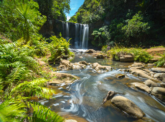 Panoramic View of Mokoroa Waterfalls, Auckland New Zealand