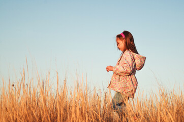 Little girl walking in a field at sunset against blue sky