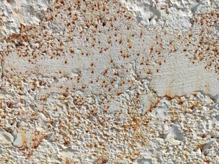 Close-up of the texture of a rusty metal door with peeling paint.