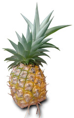 pineapple isolated on white