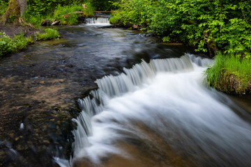 Obraz premium Smooth water cascade at Sopot wild river. Nature water landscape. Landscape park Solska forest at Roztocze, Poland, Europe.
