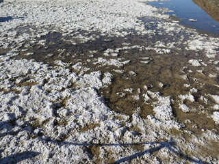 the Badwater Basin Salt Flats in the Death Valley National Park in the month of November, USA