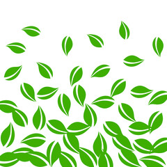 Falling green leaves. Fresh tea neat leaves flying