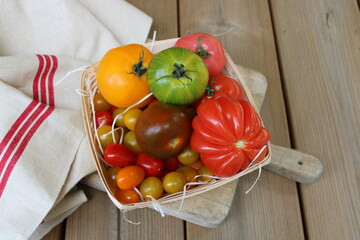 Tomates anciennes, différentes variétés de tomates