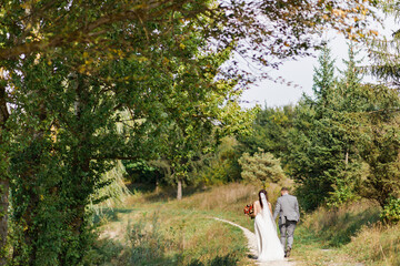The couple walks through the coniferous forest.