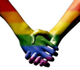 Gay pride flag effect on a couple holding hands 3D illustration on an isolated white background