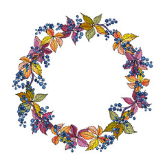 Autumn round frame with blue wild grape and colorful leaves. Beautiful autumn wreath for wine design, posters, banners, greeting cards. Cartoon style. Vector stock illustration.