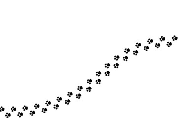 Cartoon cat footprints on a white background.