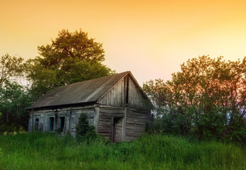 Obraz premium Old wooden vintage house in a clearing with green grass. abandoned villages of Ukraine.