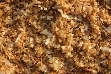 Texture of freshly sawn wood shavings. Close-up, natural background

