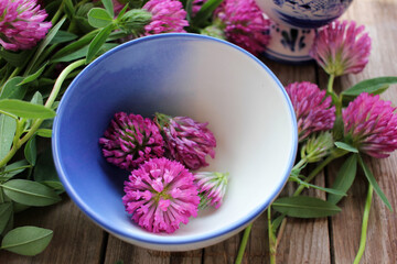 Red clover flowers in a bowl prepared for herbal tea or infusion. Natural wooden background
