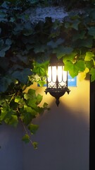 lantern in the garden