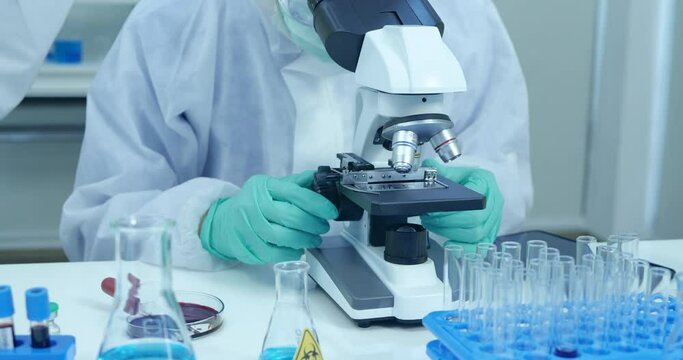 Lab assistant makes urgent blood test for detection of antibodies and infections. Scientist examining sample.